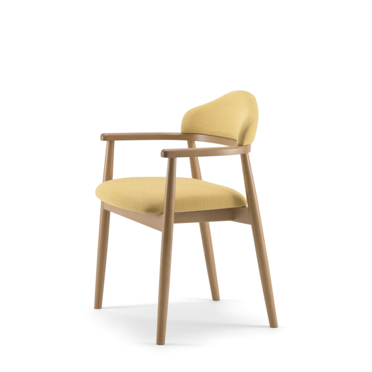 Chair with armrests Vigo 00 A2